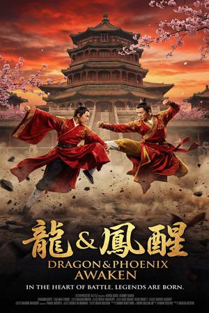 《龙虎风云》高清动作视频海报