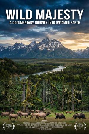 《检察官内战》高清韩剧视频海报